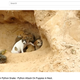 Image for article titled YouTube Starts Banning Fake 'Rescue' Videos of Snakes Attacking Puppies and Kittens